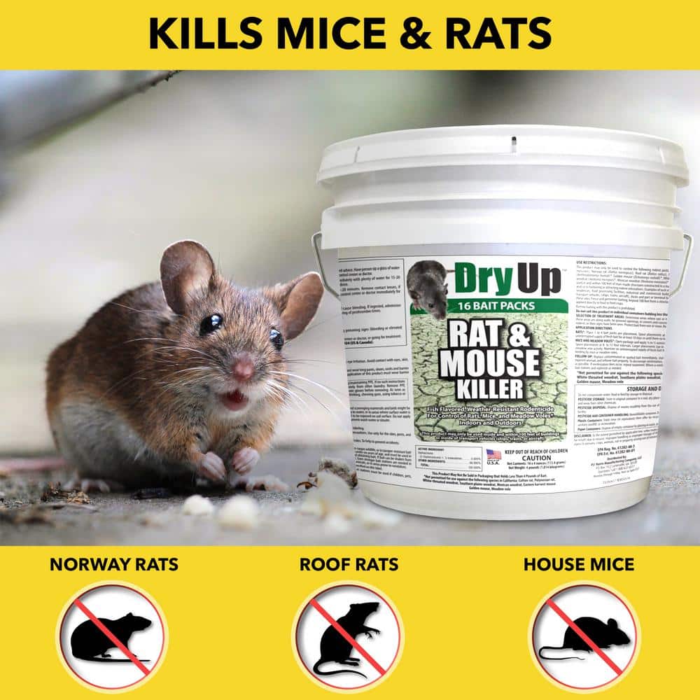 4 lbs. Dry Up Rat and Mouse Killer Pellets (4 oz. 16-Pack) - Hercitys