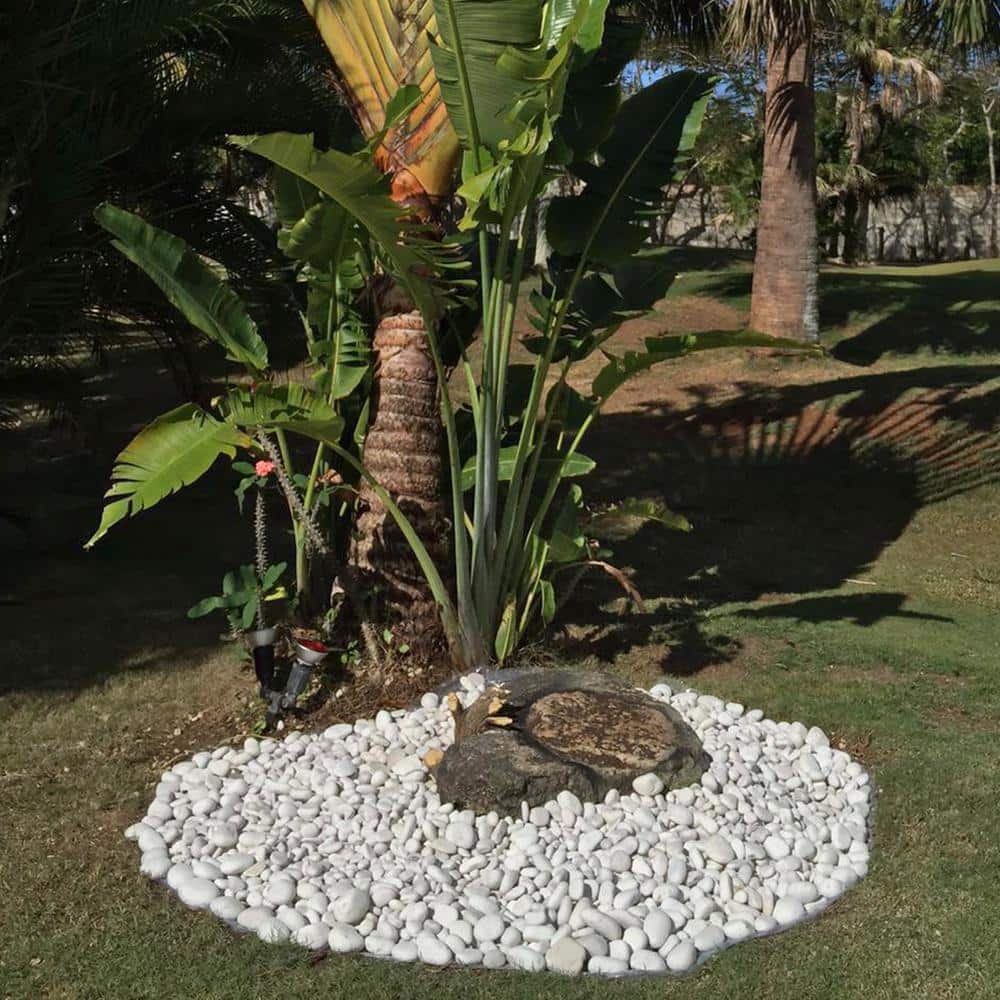 0.25 cu. ft. 1 in. to 2 in. 20 lbs. Caribbean Beach Pebbles - Hercitys