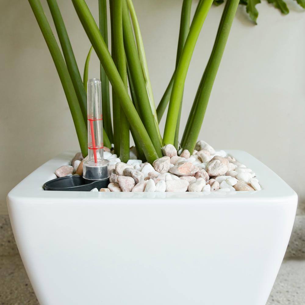 5.5/10 in. White Square Cone Plastic Self-watering Planter Pot, Set of 2 - Hercitys
