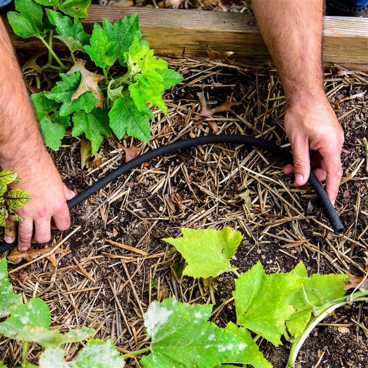 3/8 in. x 100 ft. Heavy-Duty Garden Drip Irrigation Soaker Hose System - Hercitys