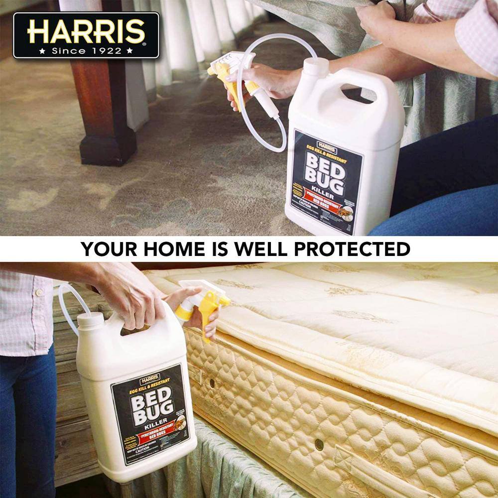1 Gal. Ready-to-Use 1 Gal. Bed Bug Killer (2-Pack), 256 oz. Pro Spray Bottle and 55 oz. Mini Pump Sprayer - Hercitys