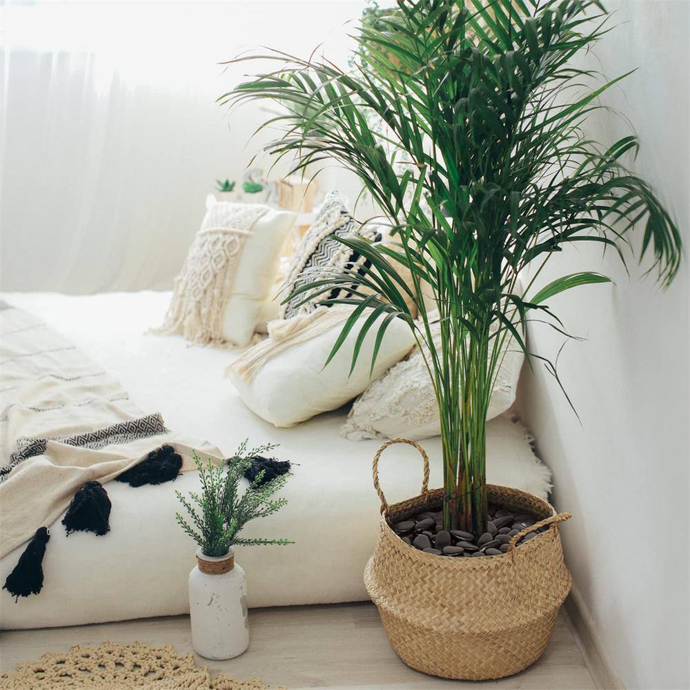 0.12 cu. ft. Black Medium Polished Pebbles 8 lbs. 1-2 in. Landscape Rocks - Hercitys