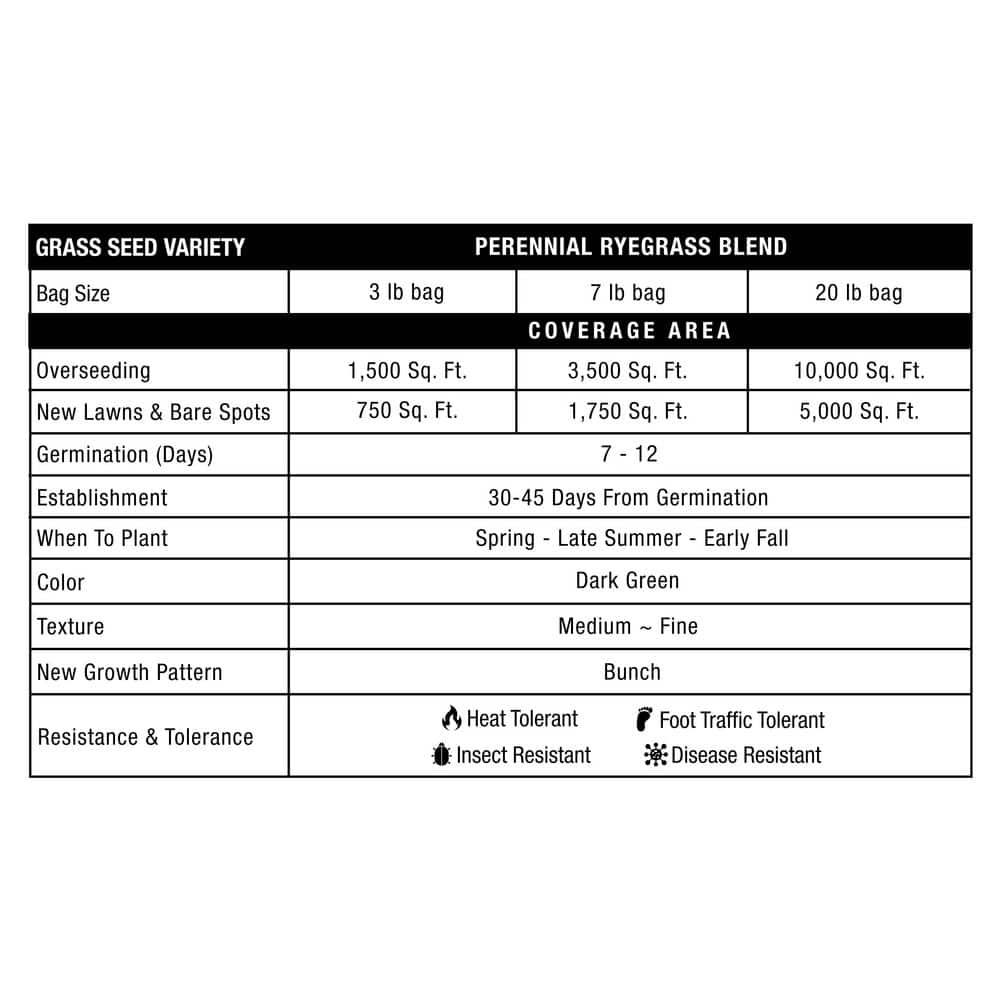 3 lbs. Pure Grass Perennial Ryegrass Blend – Covers up to 1,500 sq. ft. - Hercitys