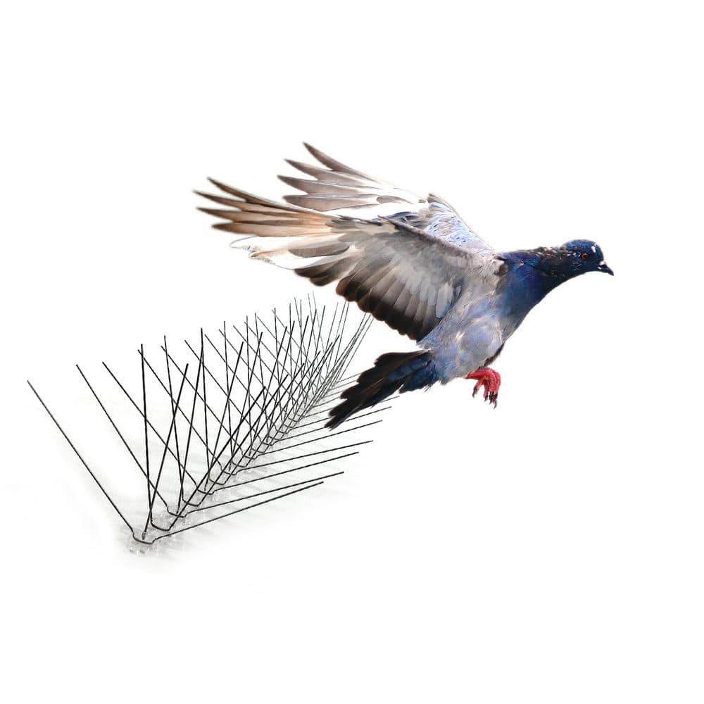 50 ft. Stainless Steel Bird Spikes Pigeons Starling Blackbirds Seagulls 6 in. Coverage - Hercitys