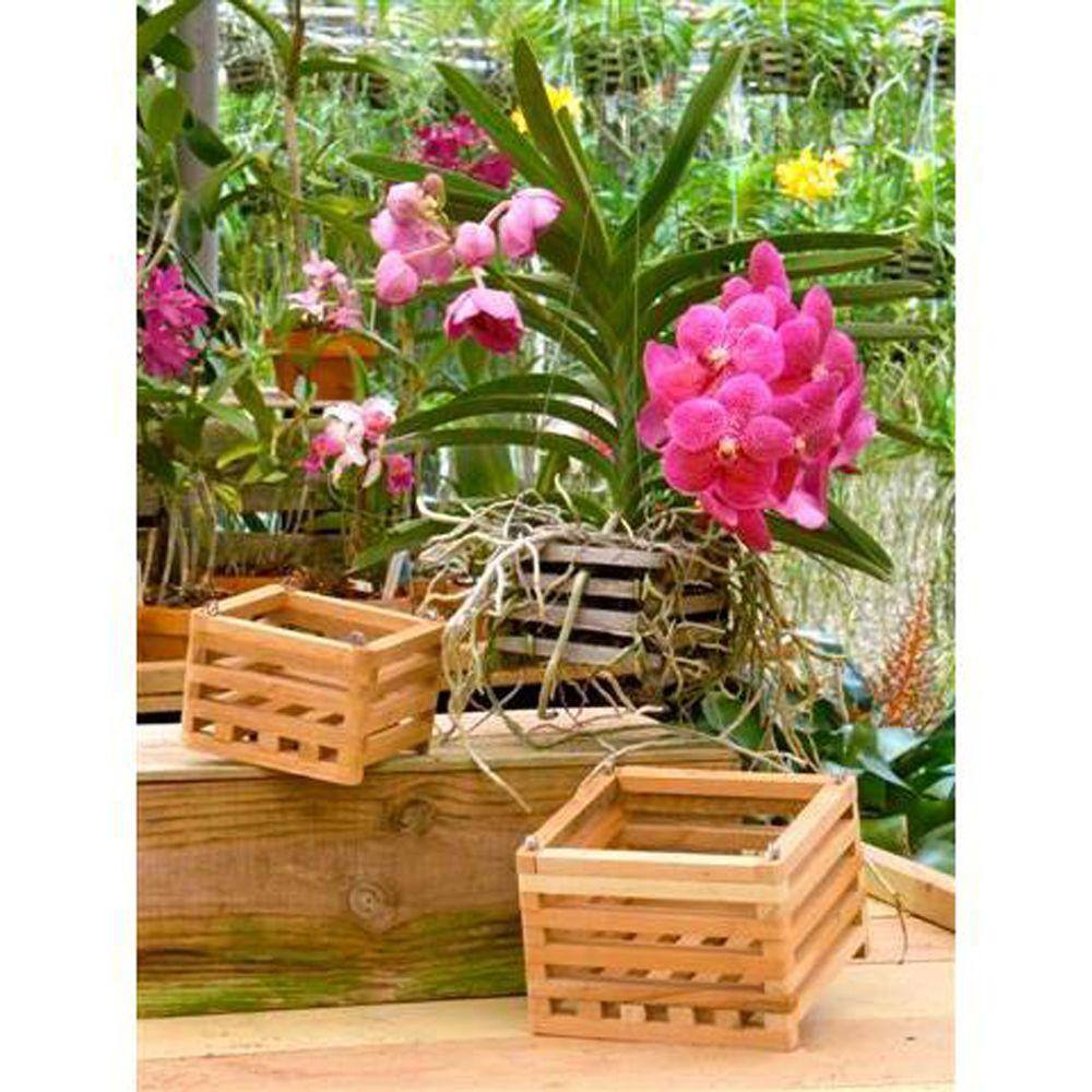 10 in. Square Wood Hanging Basket Twin Pack - Hercitys