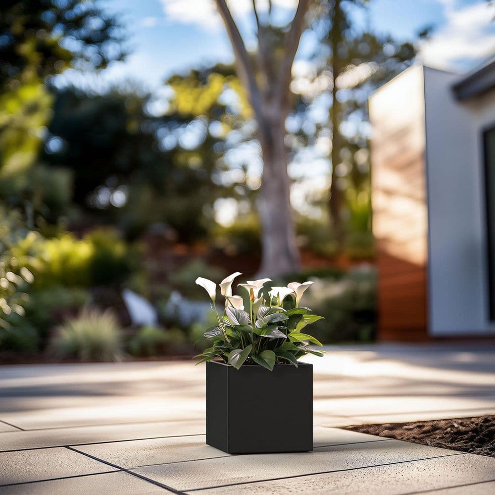 12 in. Medium Charcoal Black Concrete Square planter / Pot with drainage holes - Hercitys