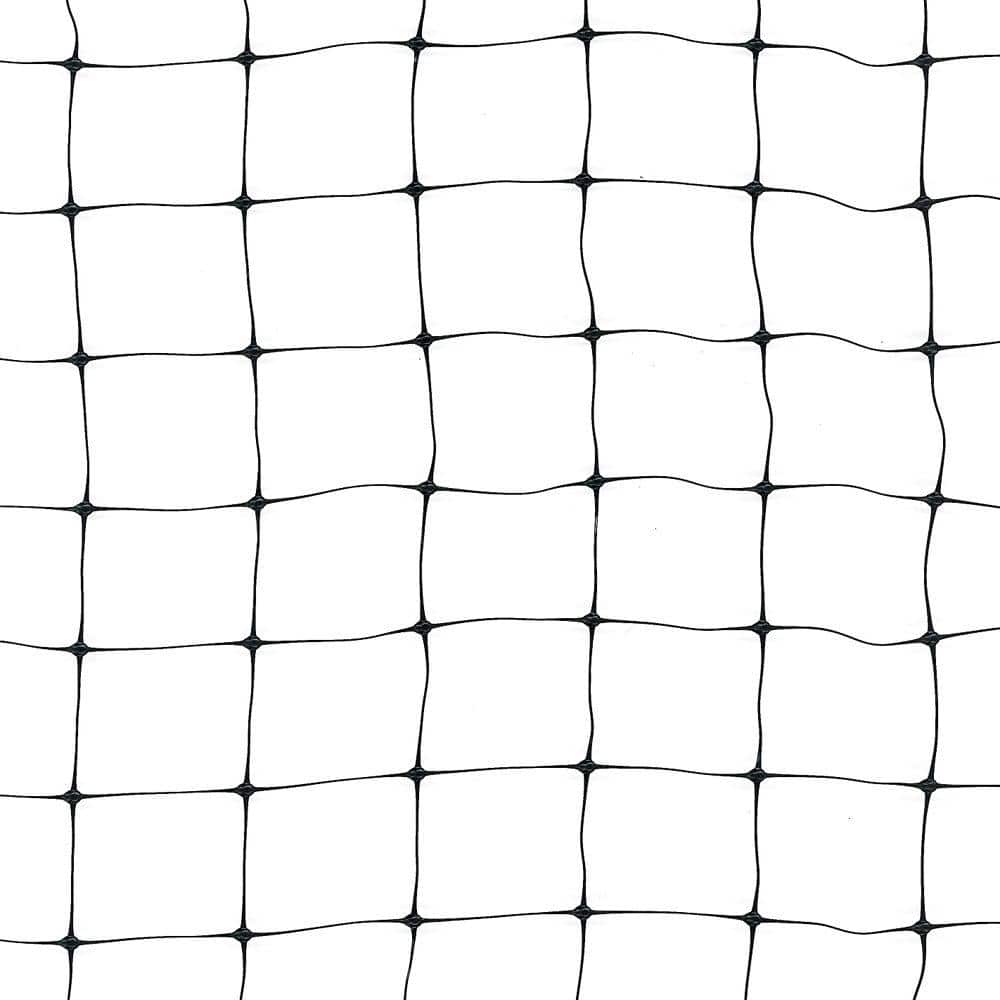 14 ft. x 100 ft. Black Ornex LM Bird Net - Hercitys