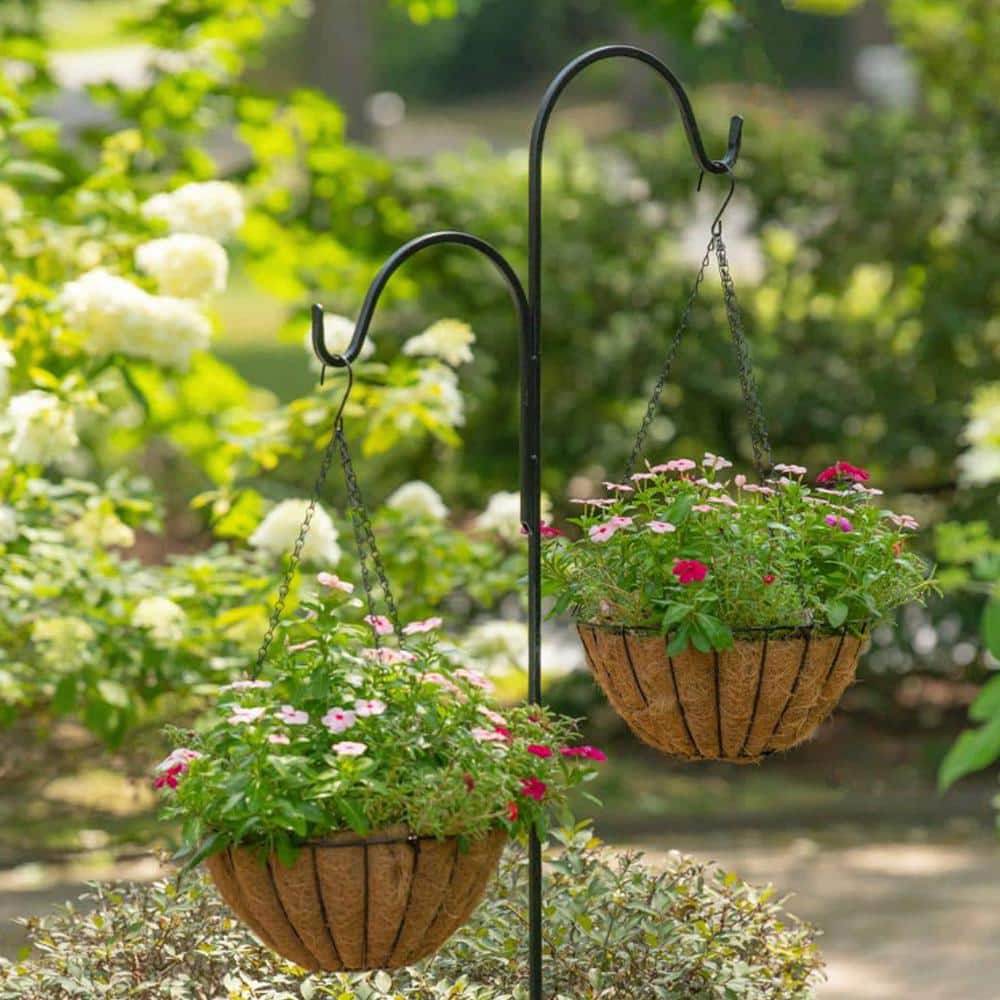 14 in. Dia Black Metal Growers Hanging Basket with Coco Liner - Hercitys