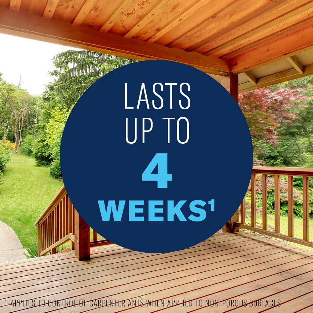 1 Gal. Ready-to-Use Carpenter Ant and Termite Insect Killer Plus - Hercitys