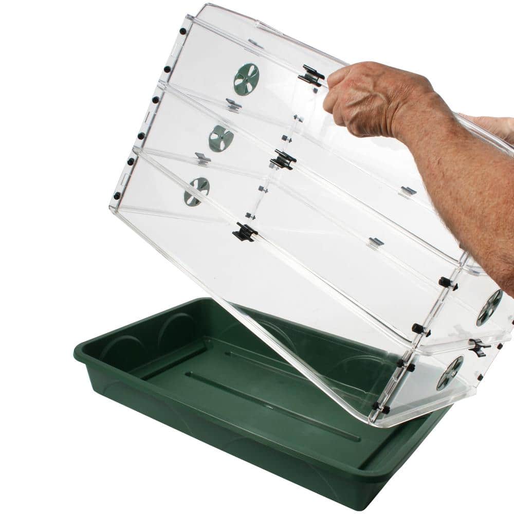 24 in. x 15 in. x 16.75 in. Domed Herb and Seed Propagator with 3 Height Extensions and Secure Clip Set - Hercitys