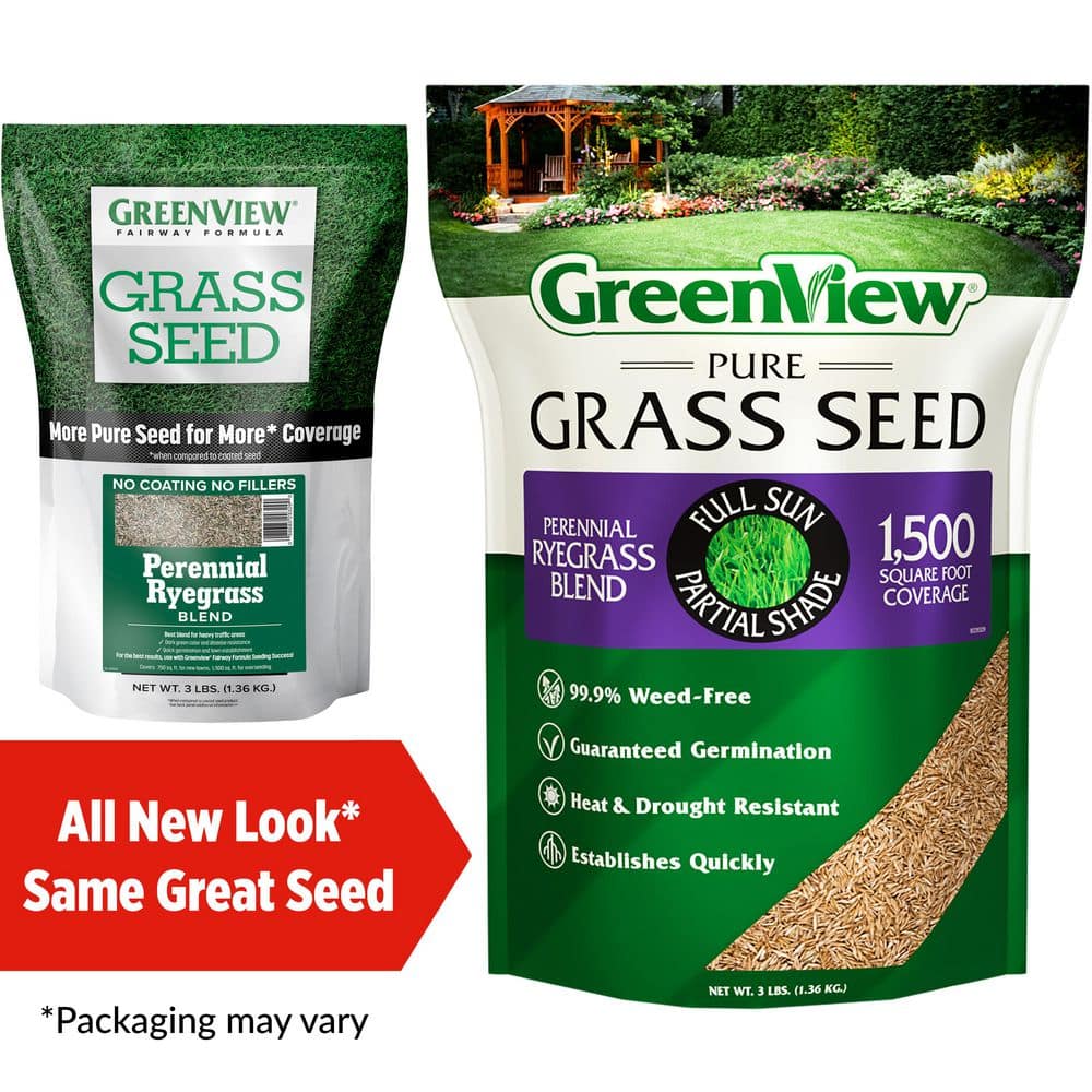 3 lbs. Pure Grass Perennial Ryegrass Blend – Covers up to 1,500 sq. ft. - Hercitys