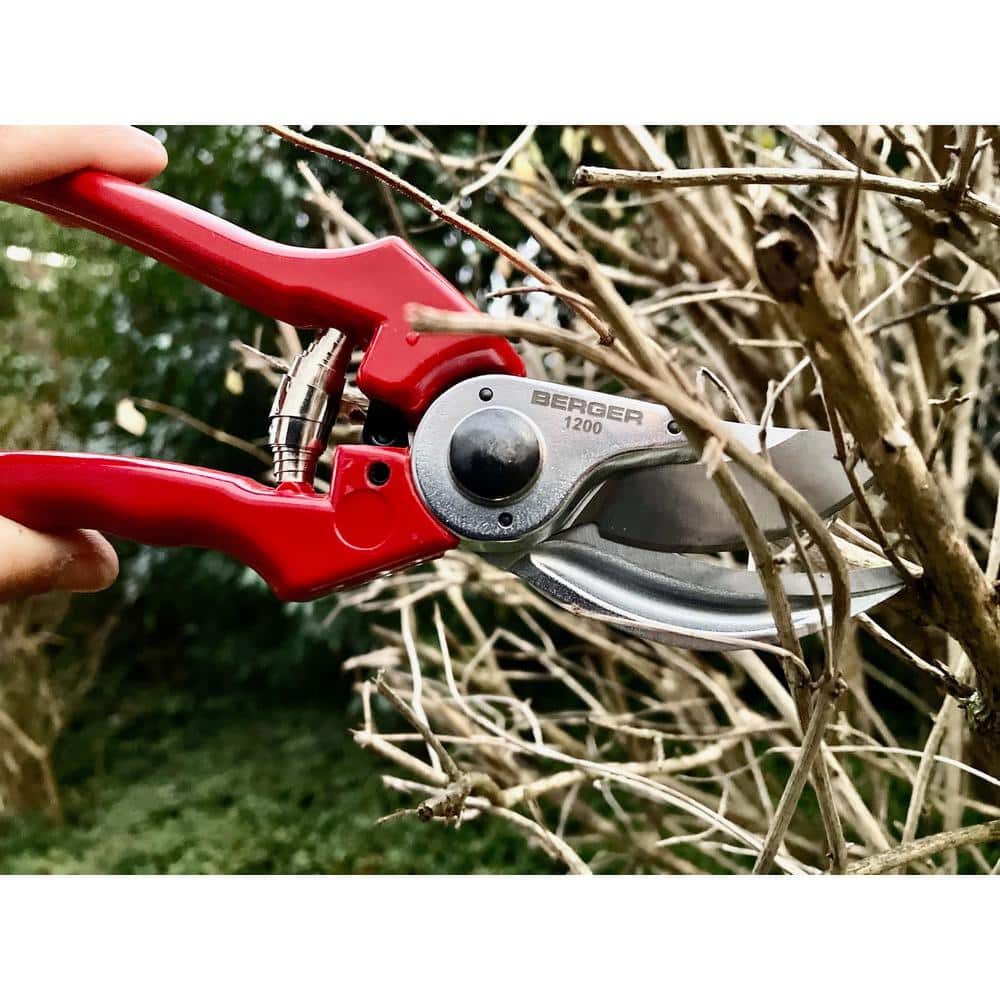 10 in. Pruning Hand Shear - Hercitys