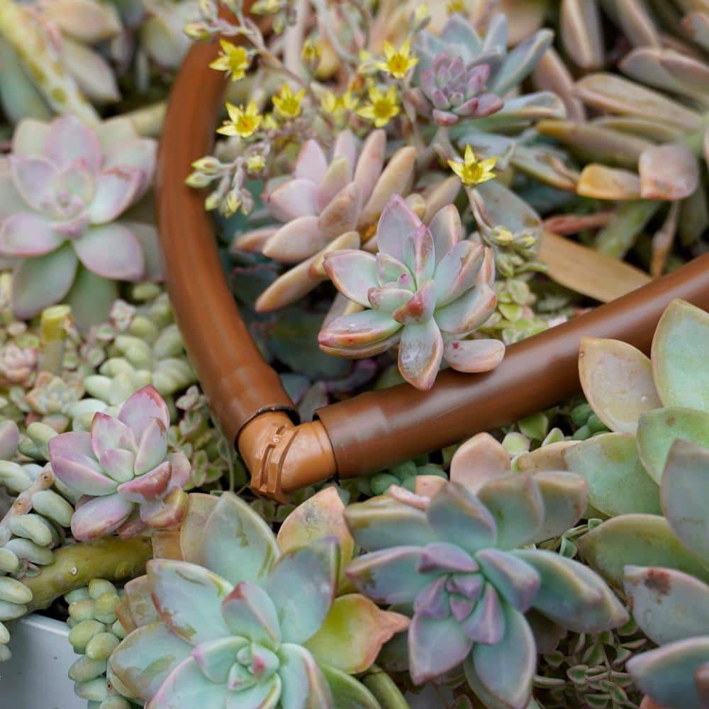 1/2 in. Barbed Elbow, 600 in. ID, 17 mm, BRN (20-Pack) - Hercitys