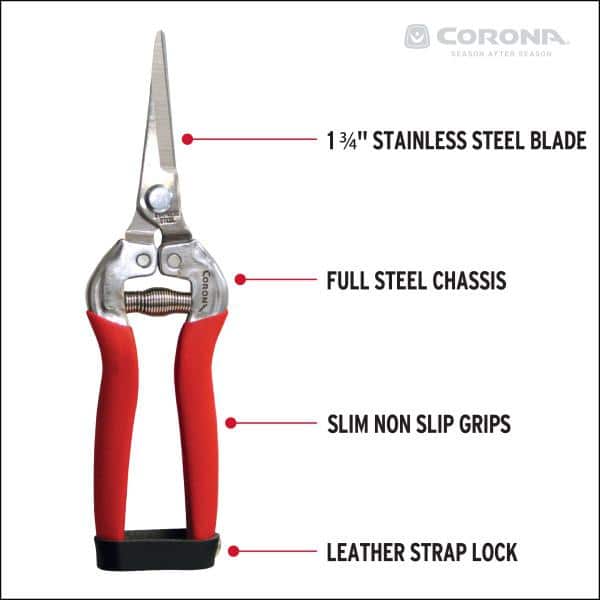 1.75 in. Stainless Steel Long Straight Snips - Hercitys