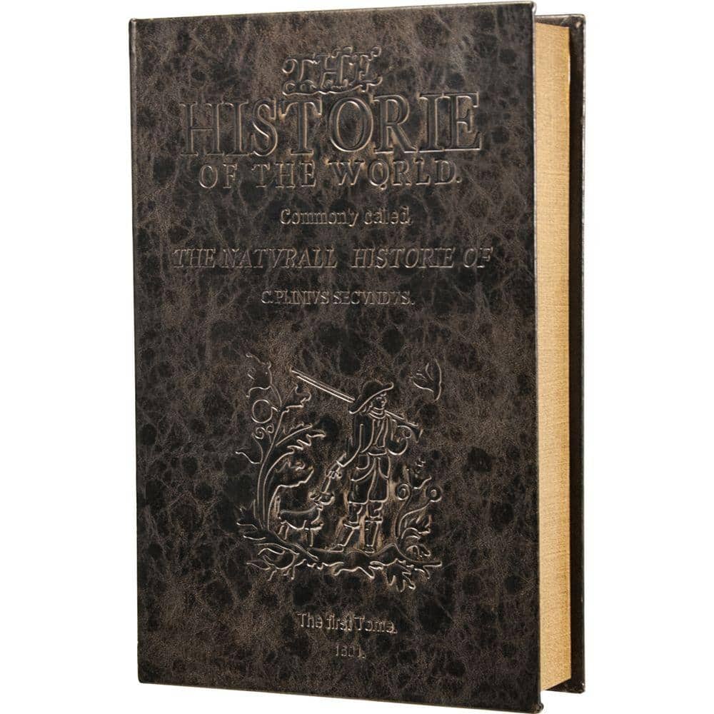 0.10 cu ft. Steel Large Antique Book Lock Box Safe with Key Lock - Hercitys