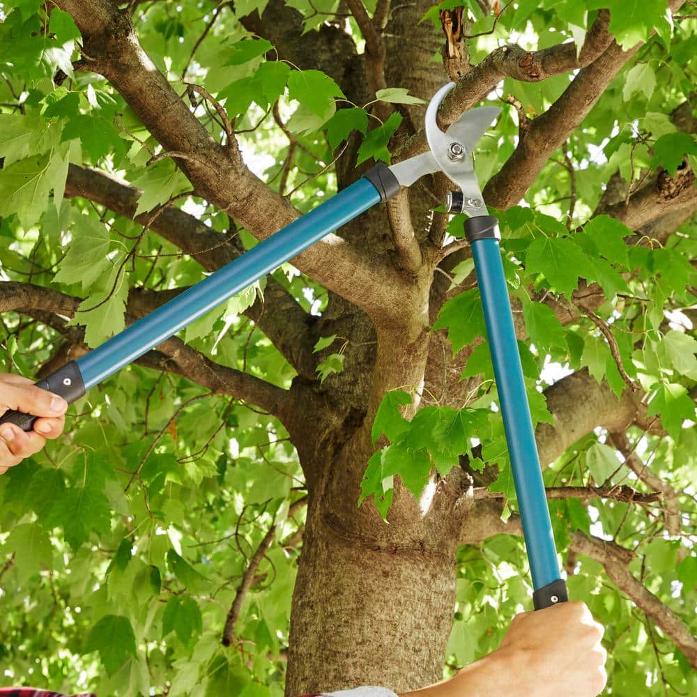 28 in. Bypass Lopper - Hercitys