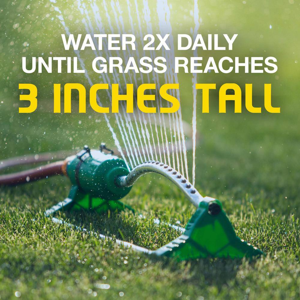 3 lbs. Sun and Shade Grass Seed Mix - Hercitys