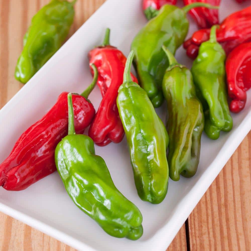19.3 oz. Shishito Pepper (2-Pack) - Hercitys