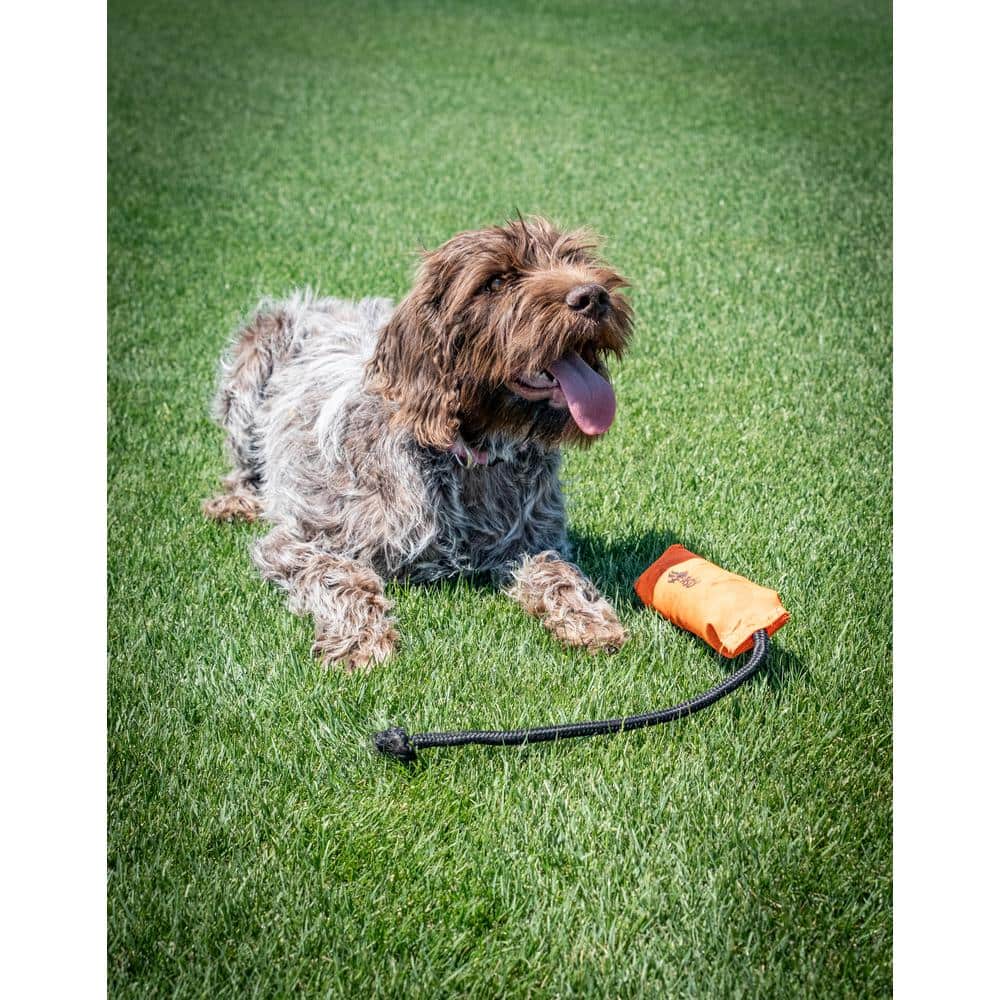 3 lbs. Sun and Shade Grass Seed - Hercitys