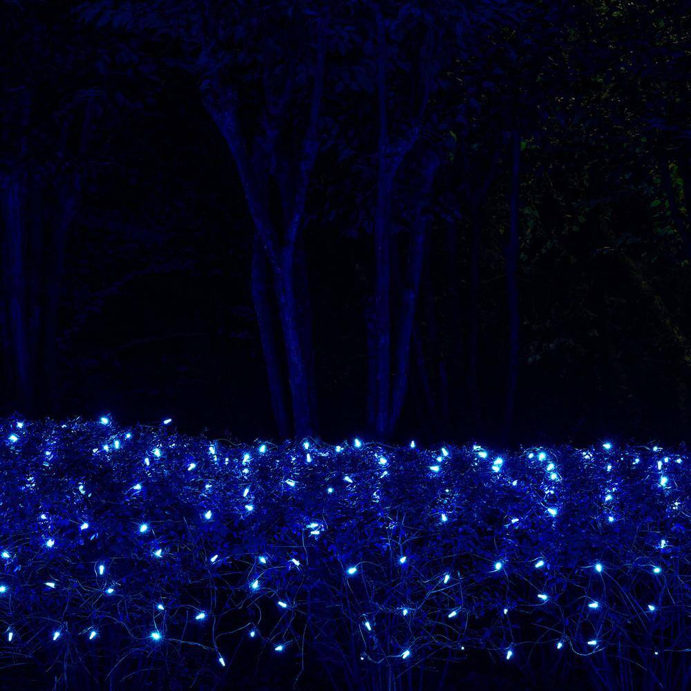 48 in. x 72 in. 100-Light M5 LED Blue Net Light Set - Hercitys