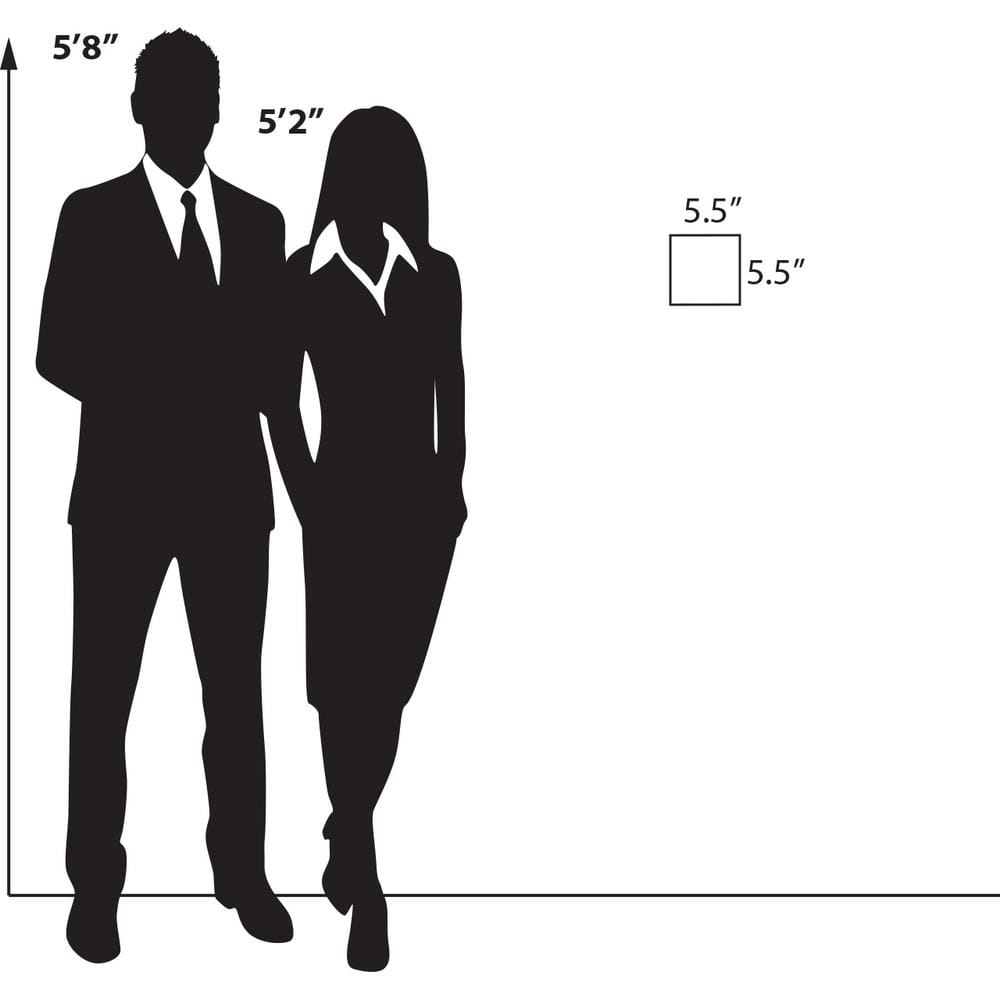 5.5 in. x 5.5 in. Acrylic Clear Wall U Frame with Adhesive Tape (10-Pack) - Hercitys