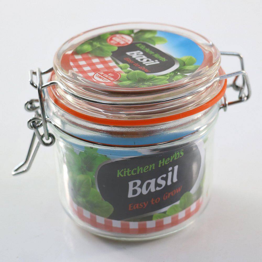 3.3 in. Basil Culinary Kitchen Herb Seed Grow Kit - Hercitys