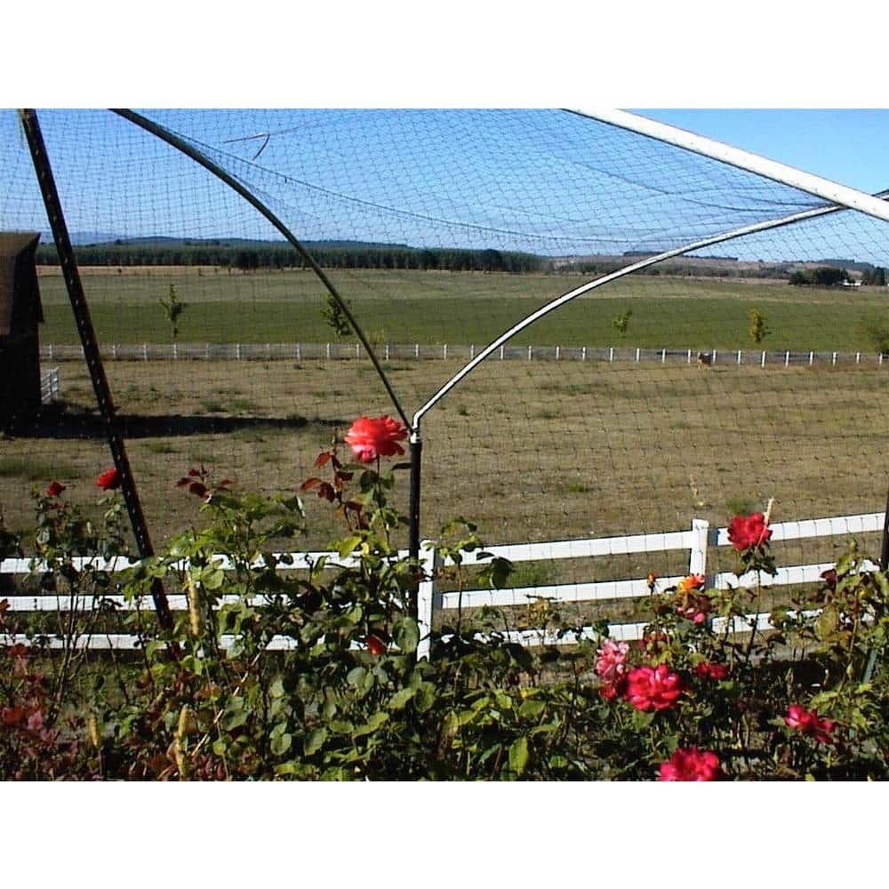 200 ft. x 14 ft. Standard Bird Netting - Hercitys