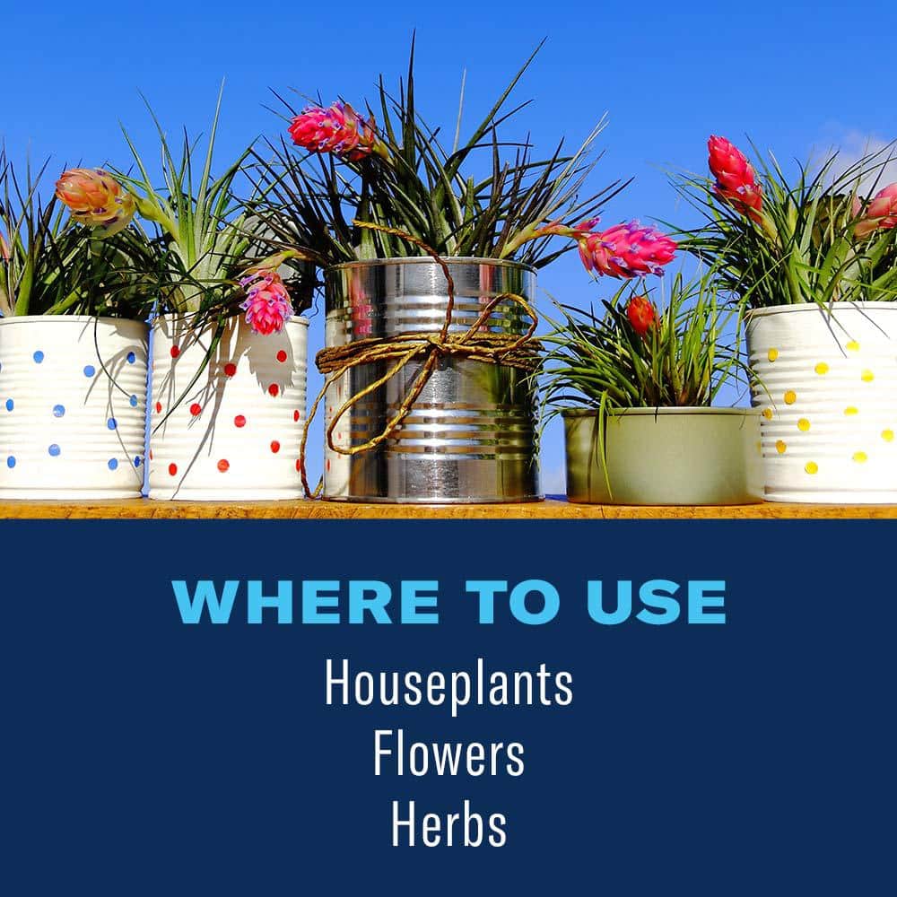 24 oz. Ready to Use Houseplant Insect Killer and Mite Control - Hercitys