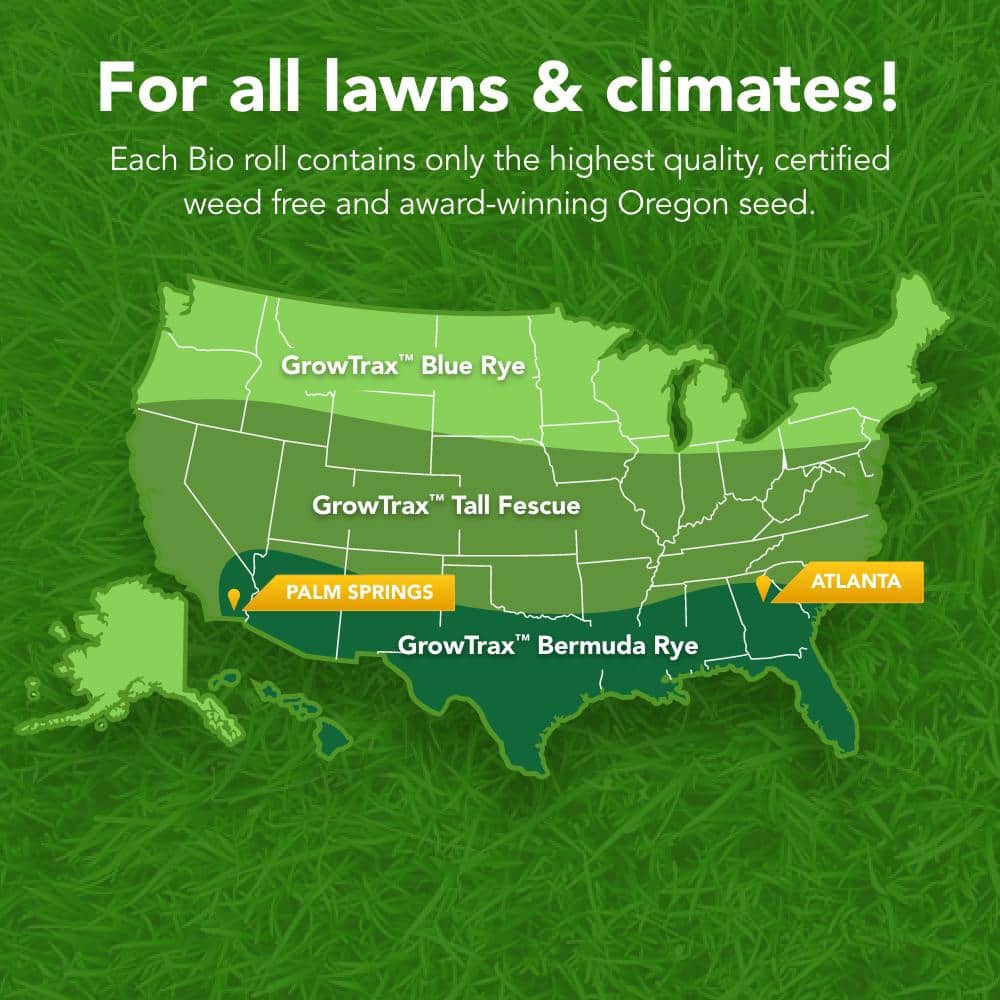 100 sq. ft. Big Roll Fine Fescue Mixture - Hercitys