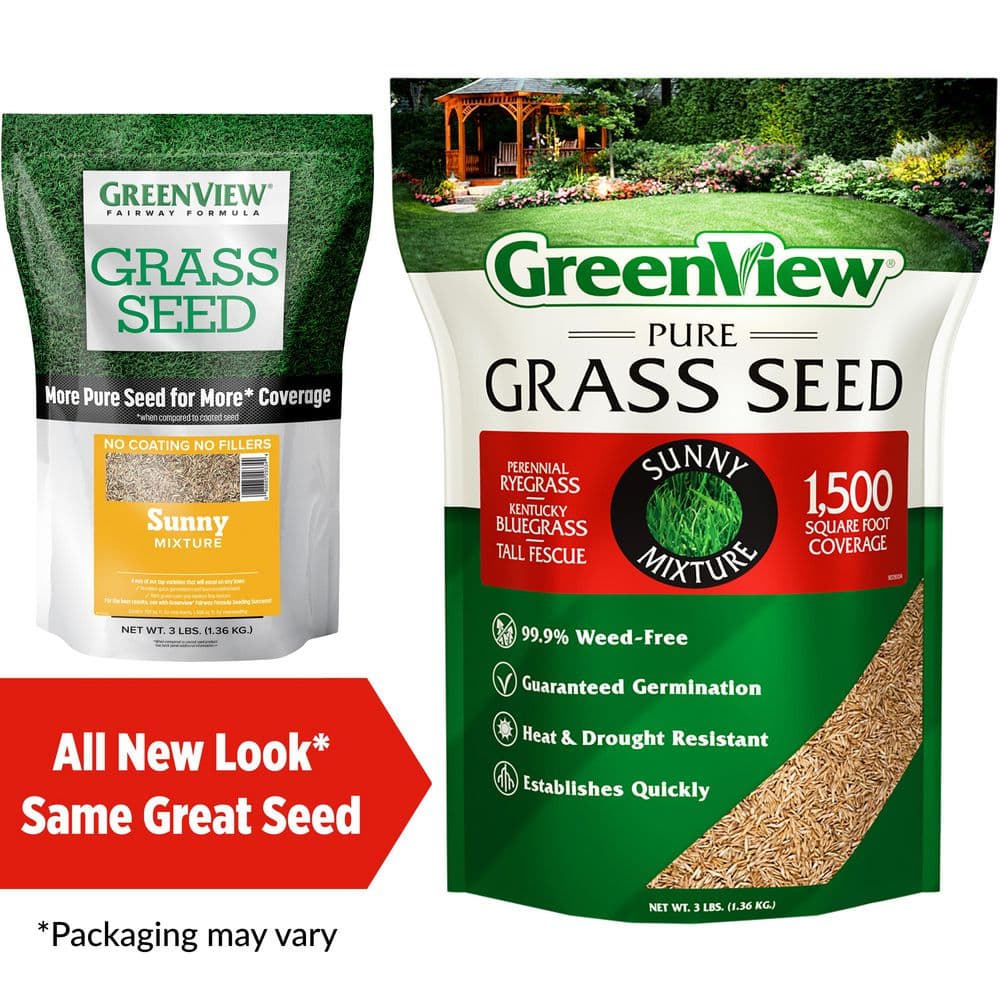 3 lbs. Pure Grass Seed Sunny Mixture – Covers up to 1,500 sq. ft. - Hercitys