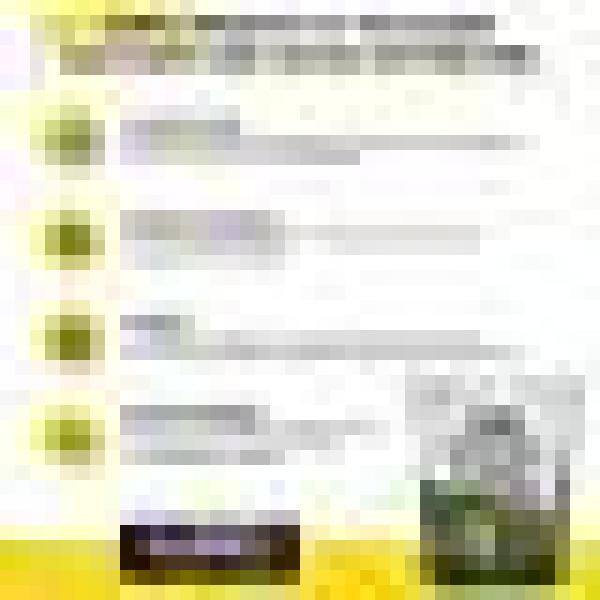 4qt. Succulent and Cactus Potting Soil Mix (4-Pack) - Hercitys