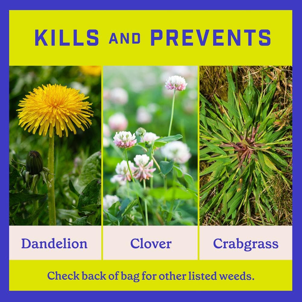 14.4 lbs. 4,000 sq. ft. Full Season Weed and Feed Lawn Fertilizer Granules Plus Crabgrass Control 25-0-8 - Hercitys