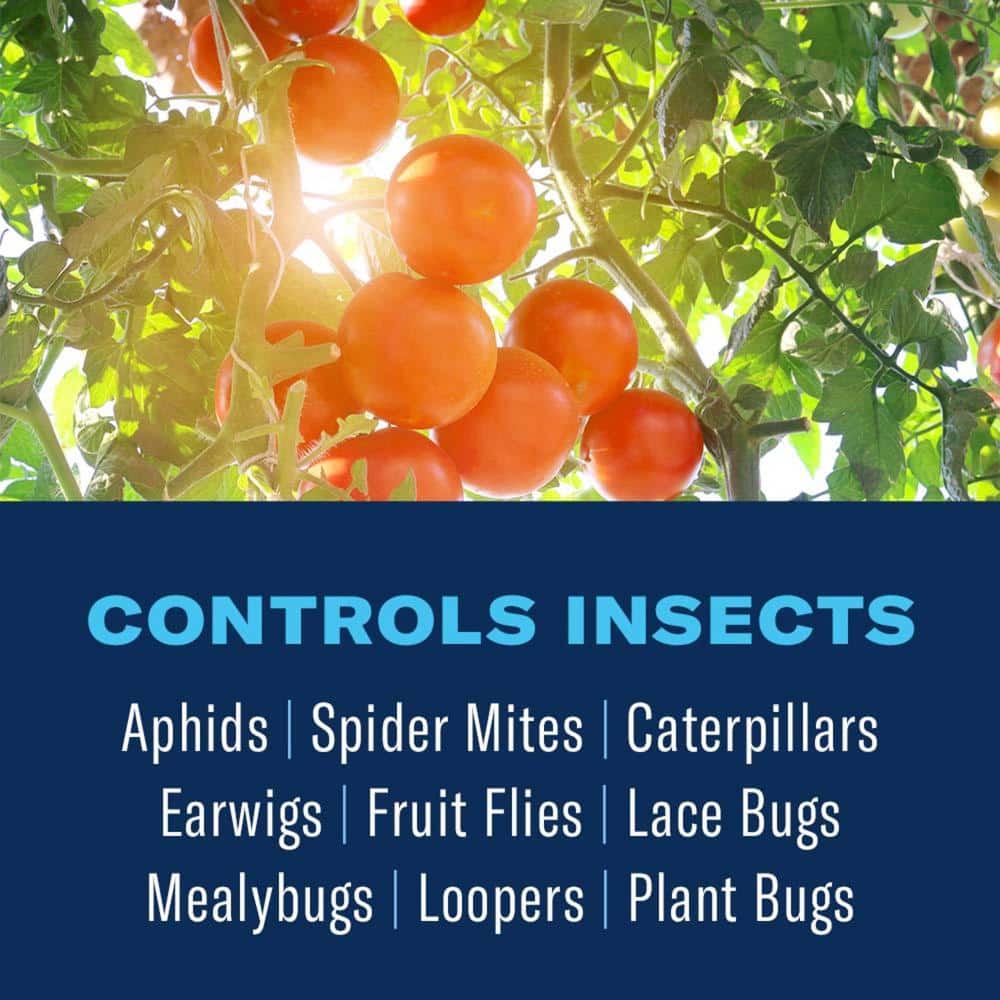 32 oz. Ready To Use Fruit, Citrus and Nut Insect Killer Control - Hercitys