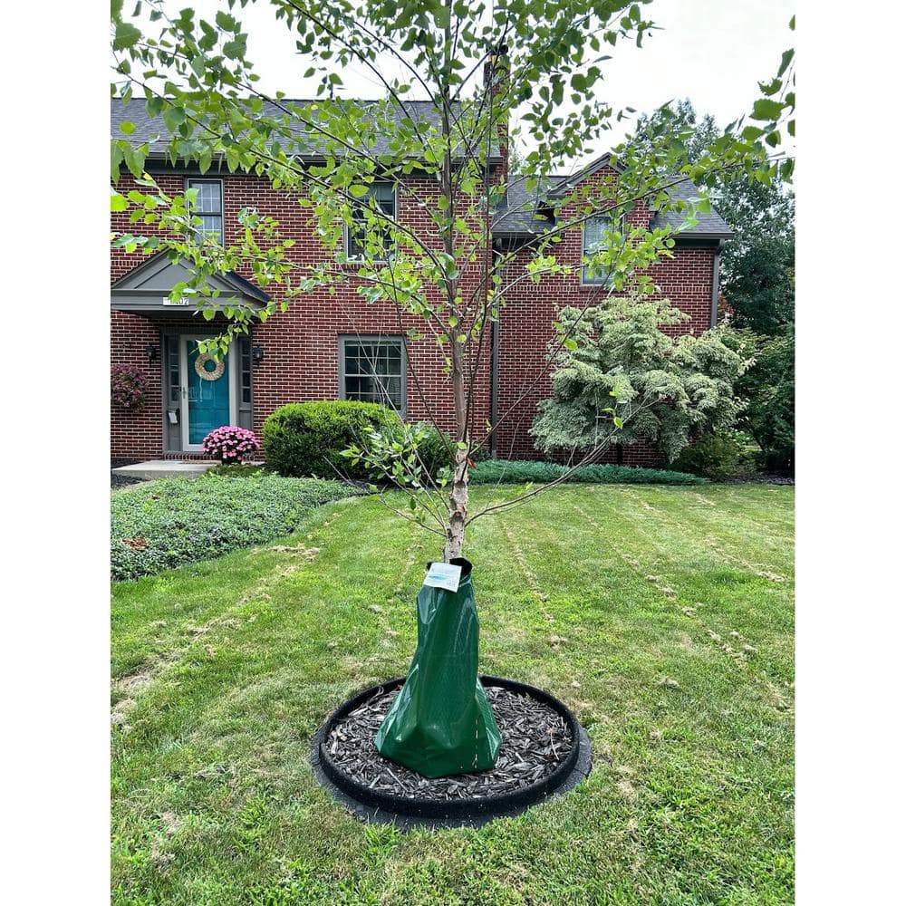 36 in. Brown Recycled Rubber Tree Ring (1-Pack) - Hercitys