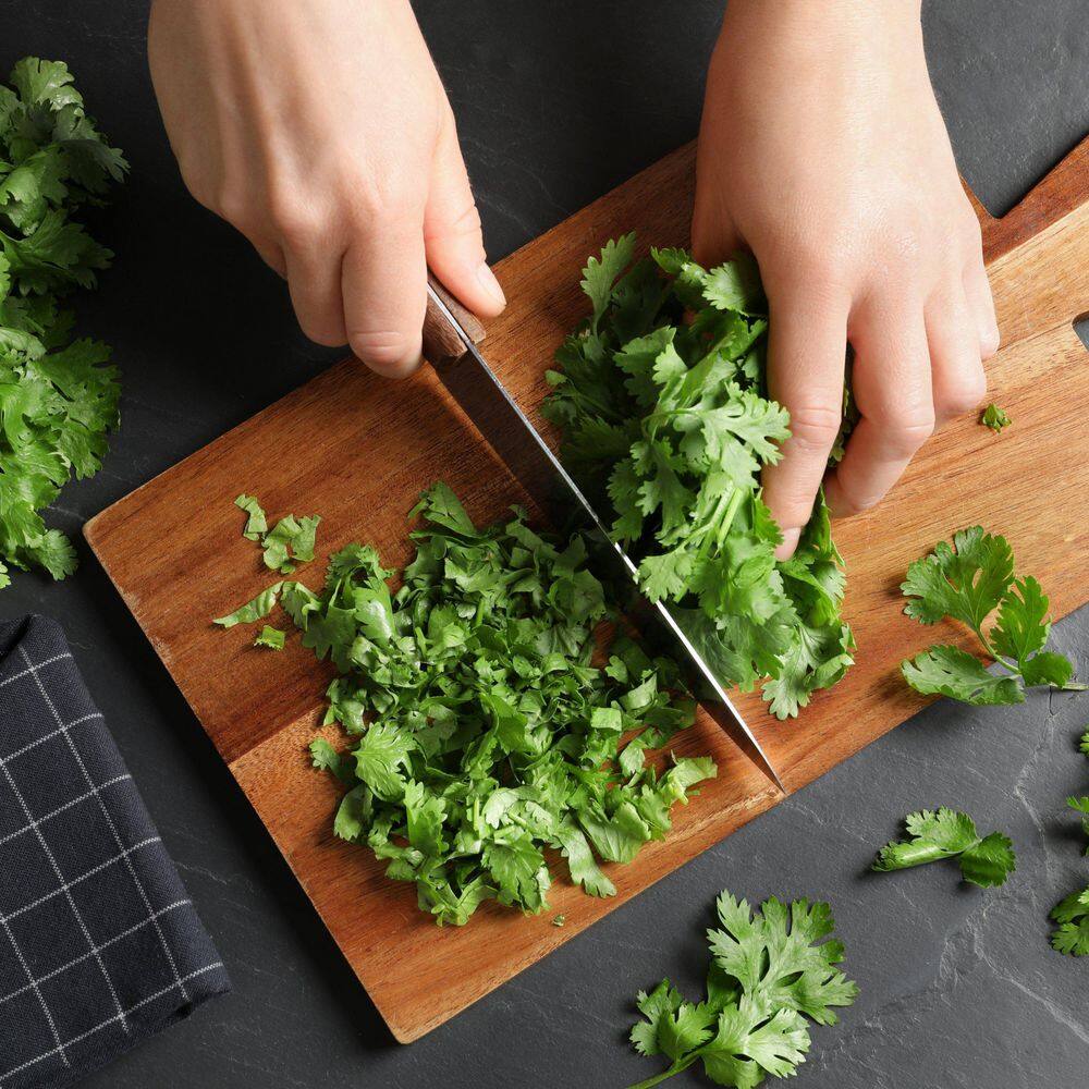 3.3 in. Cilantro Culinary Kitchen Herb Seed Grow Kit - Hercitys