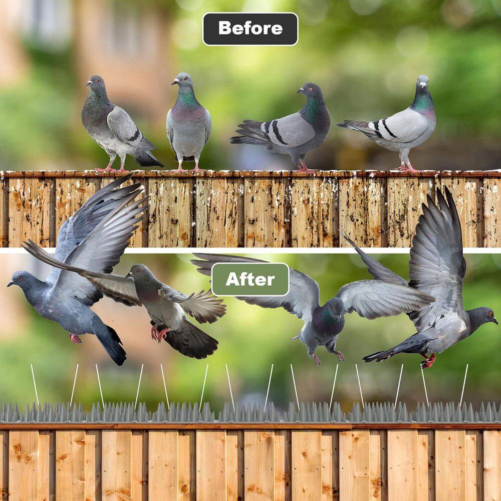 12 in. x 2.1 in. Plastic Bird Spikes Deterrent, 20 ft. 3200 Spikes to Keep Birds Away and Deter Barn Swallows (20-Pack) - Hercitys