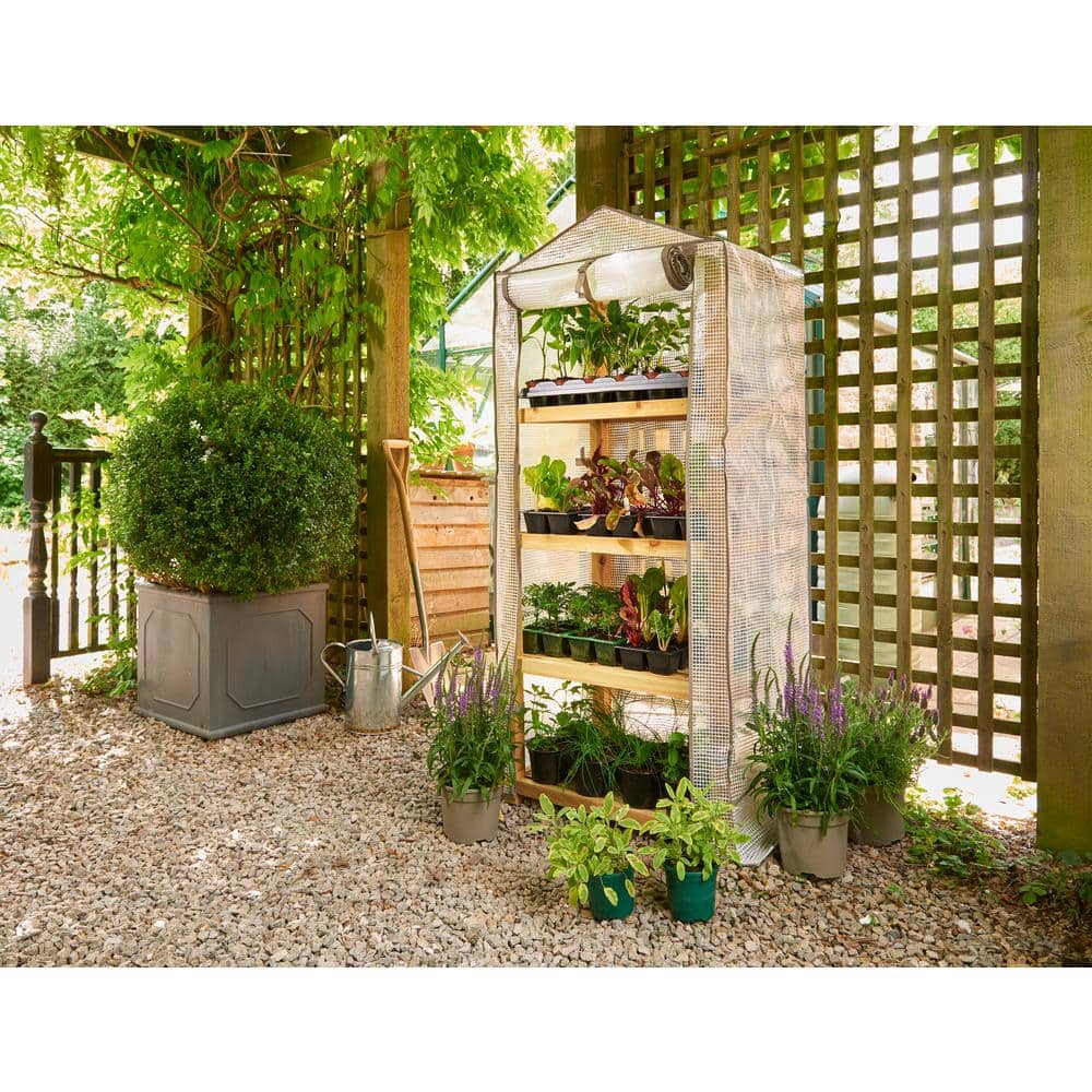 24 in. W x 19 in. D x 63 in. H Premium 4-Wooden Tier Greenhouse - Hercitys