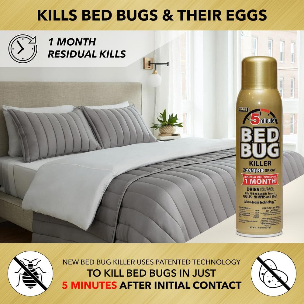 16 oz. 5-Minute Bed Bug Insect Killer Foaming Spray and 8 oz. Diatomaceous Earth Bed Bug Killer Value Pack - Hercitys