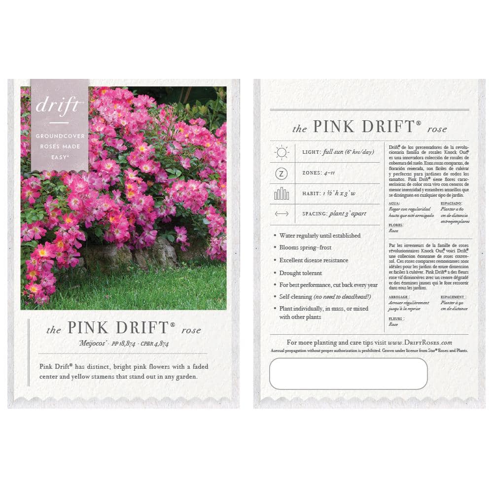 1 Gal. Pink Drift Rose Bush with Pink Flowers (2-Pack) - Hercitys