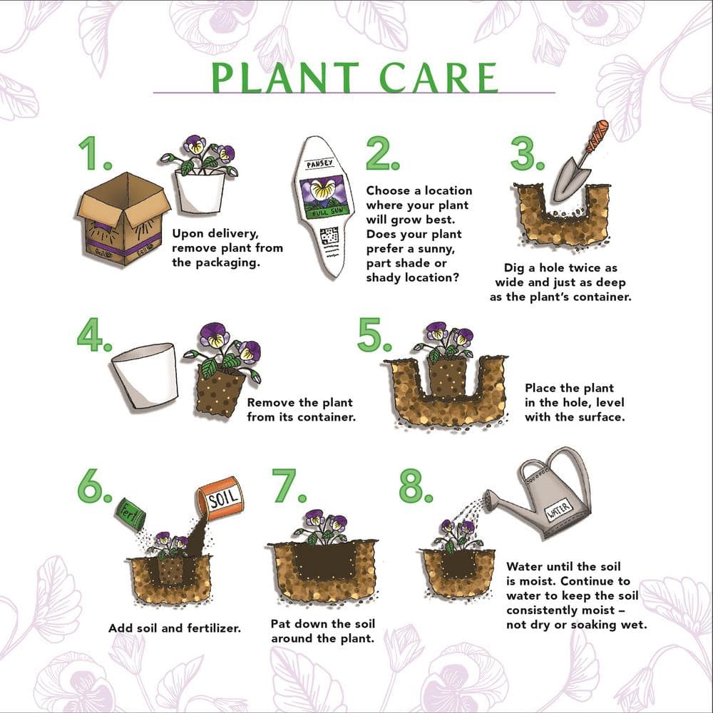 4.25 in. Really Red Supertunia (Petunia) Live Annual Plant (4-Pack) - Hercitys