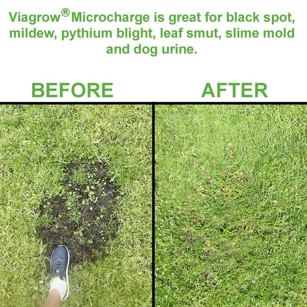 10 oz. Micro Charge/50g Per Pack (3-Pack) - Hercitys