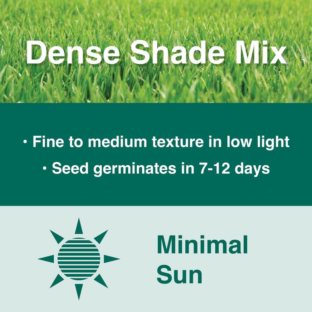3 lbs. Dense Shade Grass Seed Mix with Water Saver Seed Coating - Hercitys