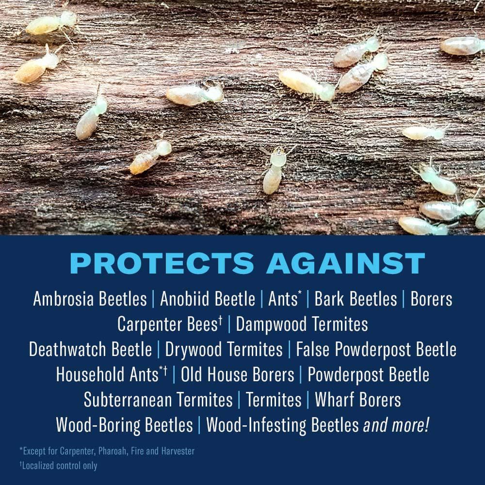 18 oz. Ready-to-Use Termite and Carpenter Bee Insect Killer Foam - Hercitys