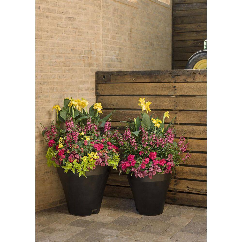 4.25 in. Eco+Grande Boldly Hot Pink Geranium (Pelargonium) Live Plant, Bright Pink Flowers (4-Pack) - Hercitys