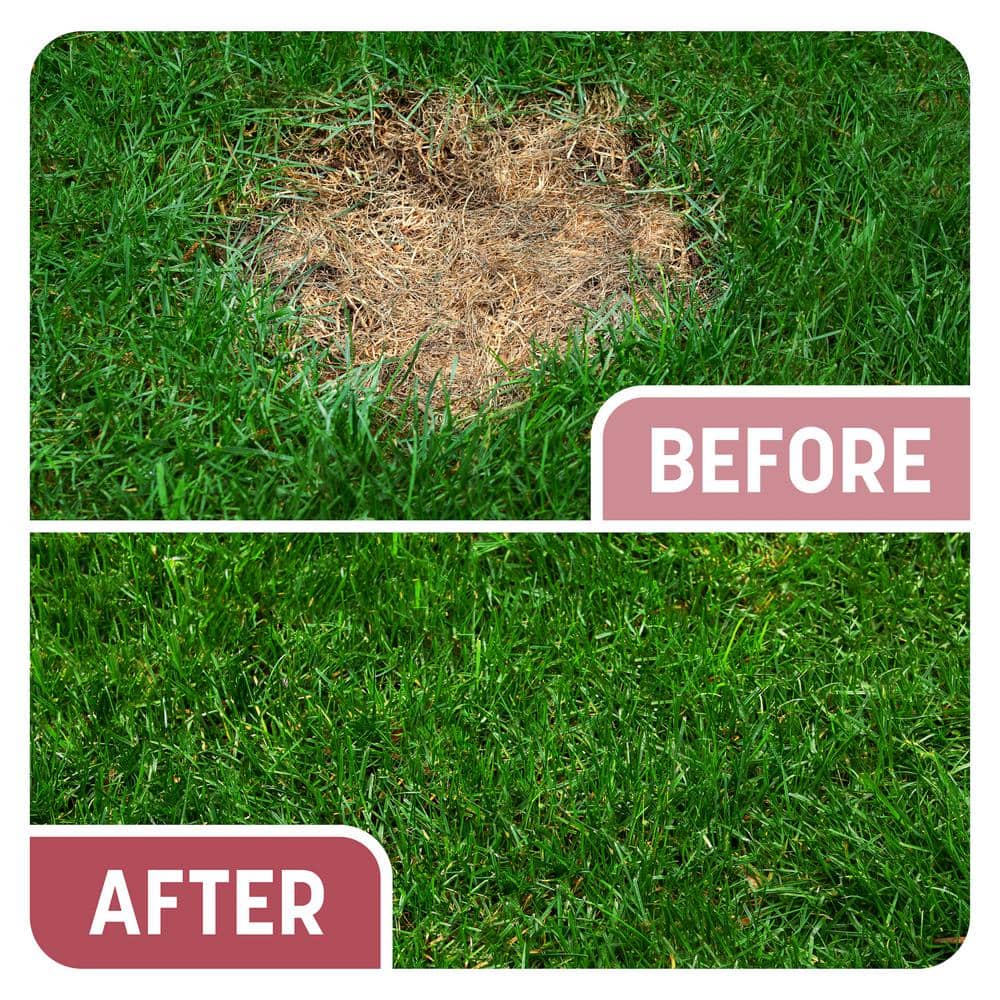 5 lbs. Smart Patch Zoysia Grass Seed with Mulch, Fertilizer - Hercitys
