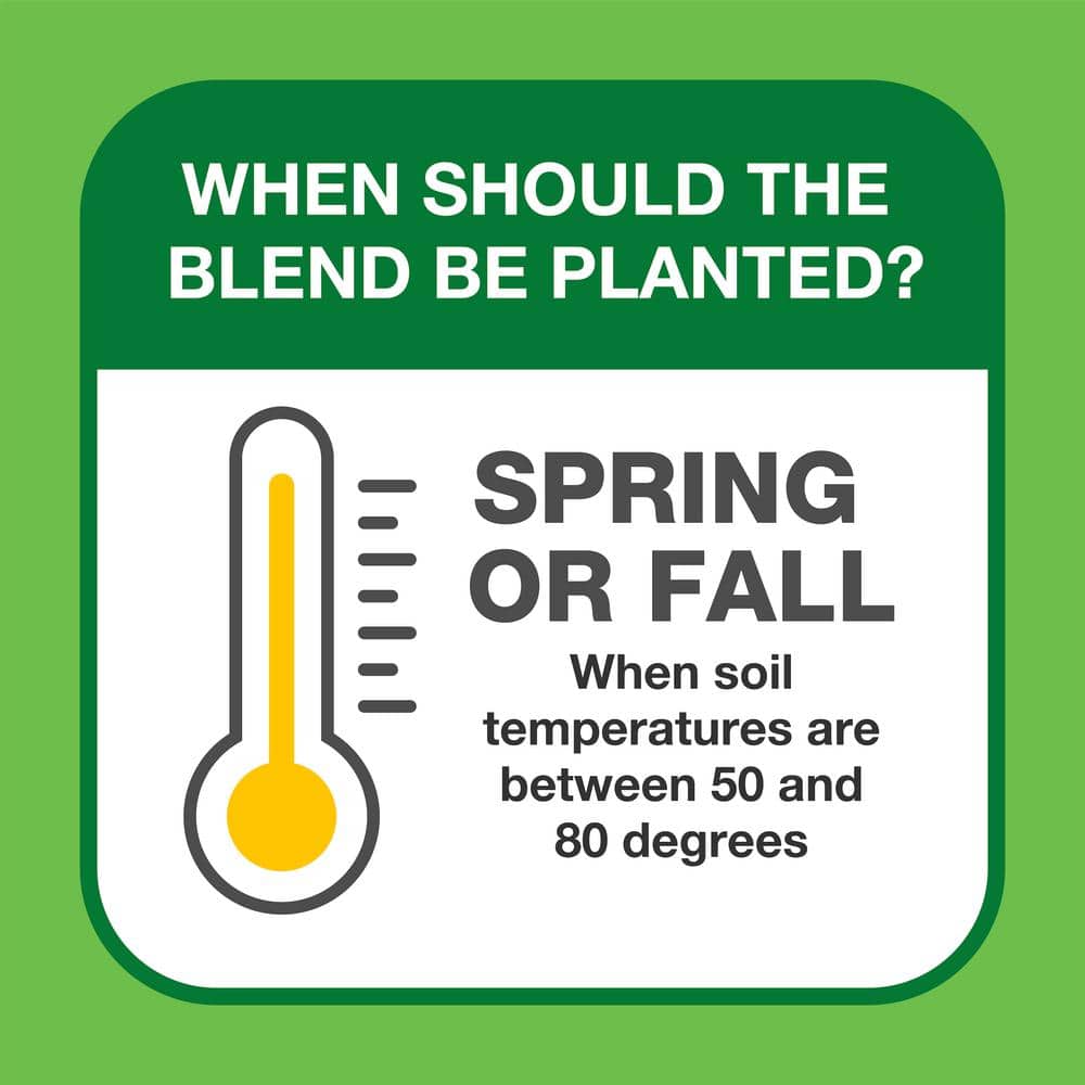 10 lbs. Patch and Repair Tall Fescue Grass Seed Mix - Hercitys