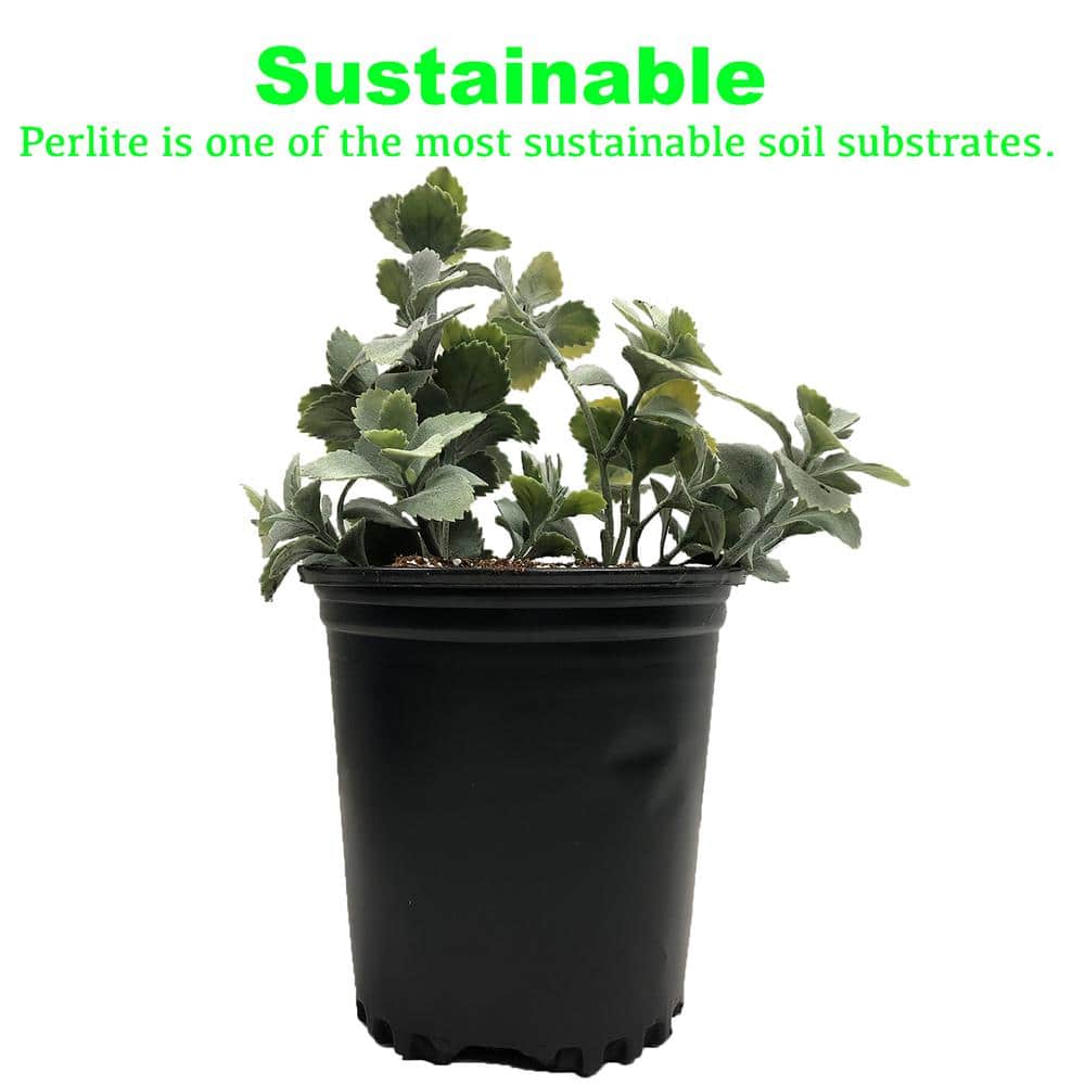 4 cu. ft. of Perlite (2-Pack) - Hercitys