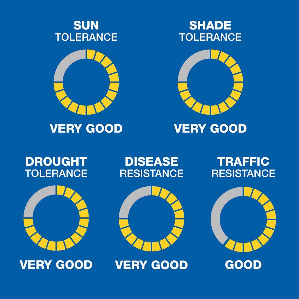 10 lb. Patch and Repair Sun and Shade Grass Seed Mix - Hercitys