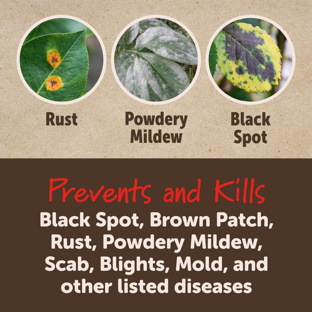 32 oz. Ready to Spray 3-in-1 Flower and Shrub Mite and Disease Control Insect Killer - Hercitys