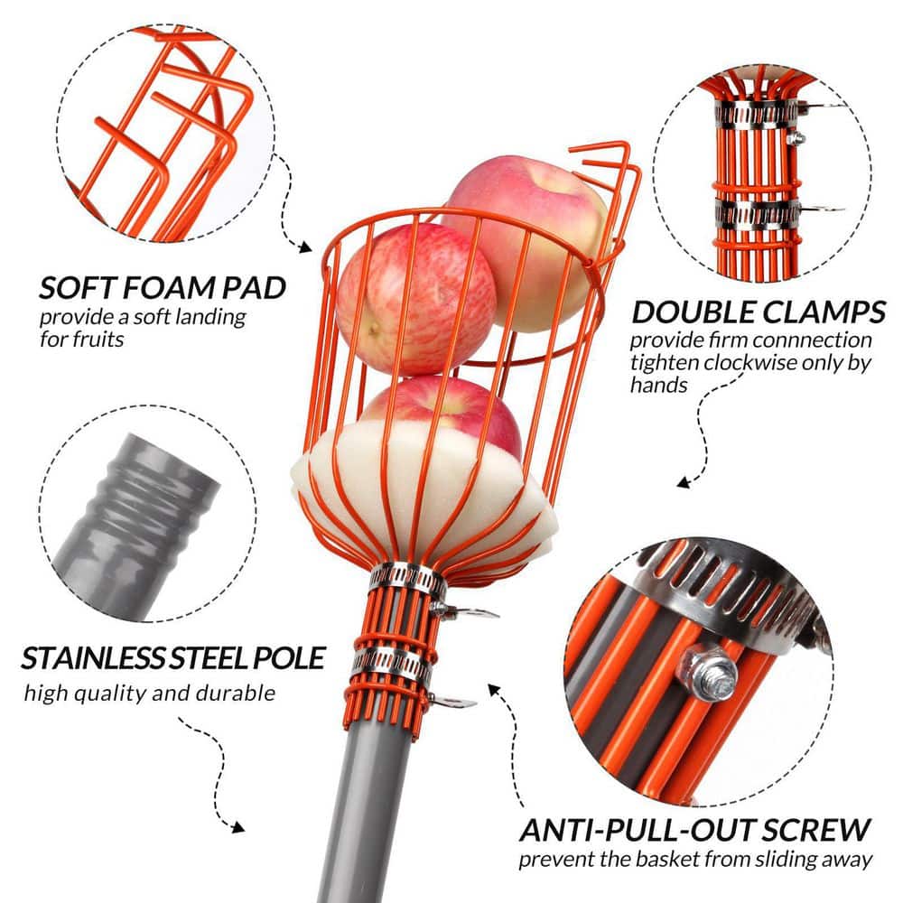 156 in. Stainless Steel Handle Fruit Picker - Hercitys